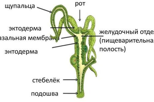 Омг гидра